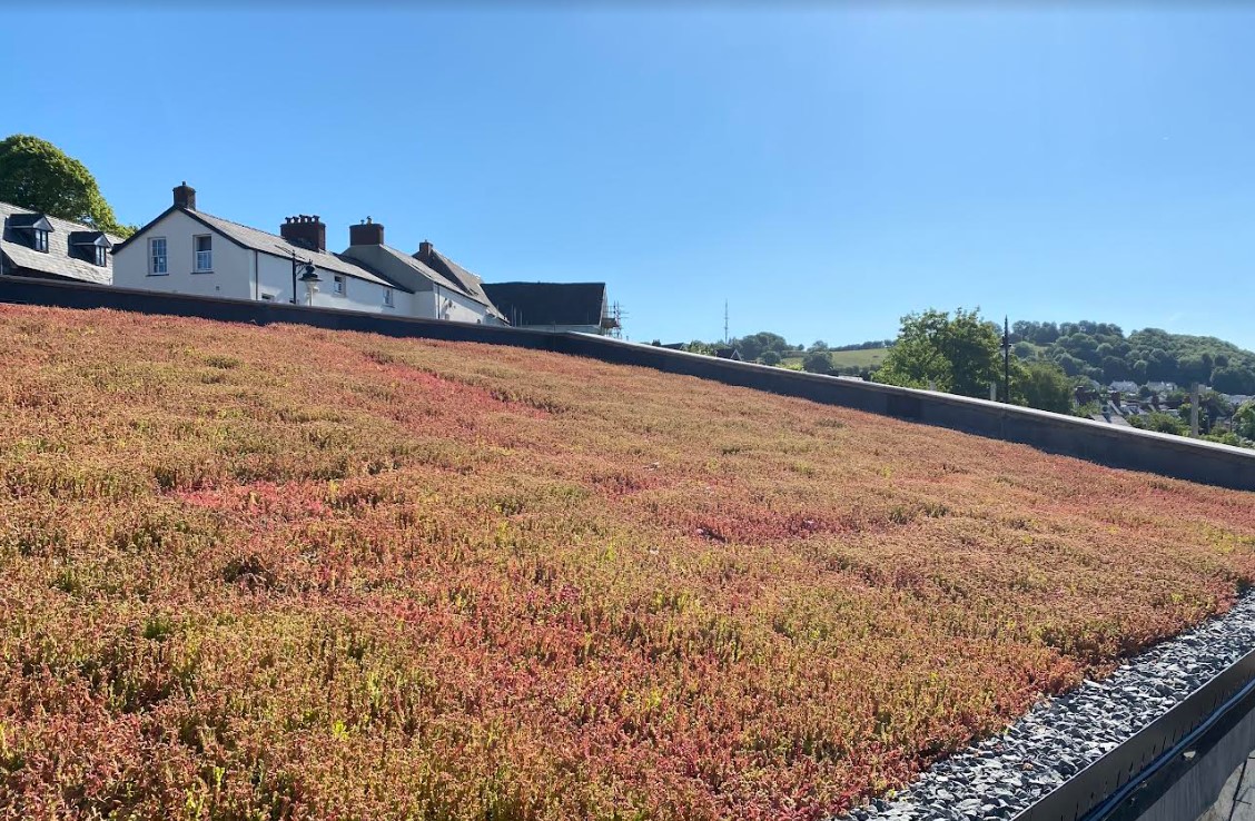 Green Sedum Roof